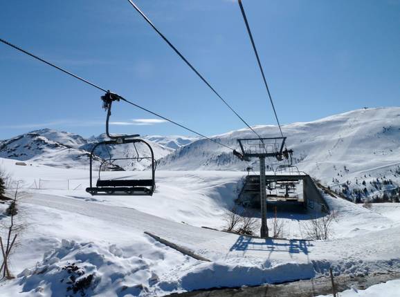 Alpauris