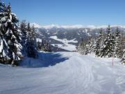 Descent with S