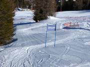 Race track