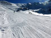 Turna run