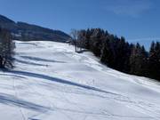 Easy slope at the Rohrmooser Plateau