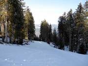 Intermediate slope Rennstrecke