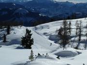Frauenkar descent