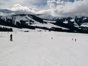 Argent downhill run
