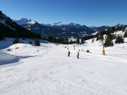Practice area at the Seealp-Lift drag lift