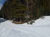 Cross-country skiing Western Canada – Cross-country skiing Mt. Norquay – Banff