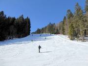 D - Ladies' Slope