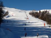 Alpage downhill run