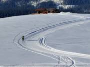 High-altitude trail Loferer Alm