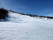 Slope No. 8