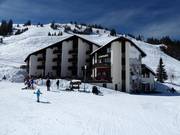 Alpstubli