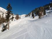 Almlift descent