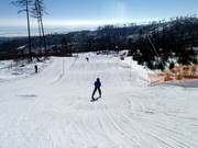 Fun zone along the Štart východ slope