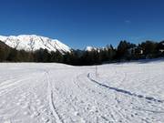 Cross-country trails in Hoch-Imst