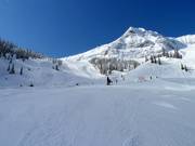 Bow downhill run