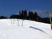 Wasenlift I - T-bar
