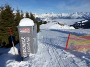 Speedcheck Leogang