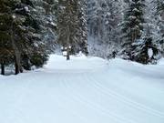 Trail in Lammertal
