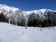 Valley run