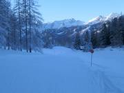 Valley run No. 2
