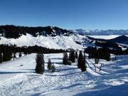 View over the Grasgehren ski area