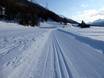 Cross-country skiing Engadin St. Moritz – Cross-country skiing Languard – Pontresina