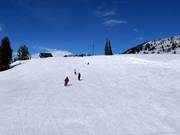 Very good slope grooming in Brighton