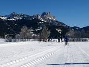 Cross-country trails in Tannheim