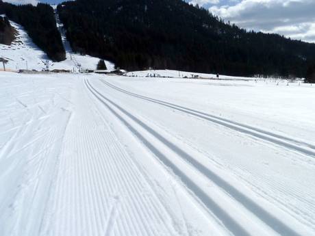 Cross-country skiing Hörnerdörfer – Cross-country skiing Balderschwang – Hochschelpen/Riedberger Horn