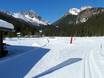 Cross-country skiing Trentino – Cross-country skiing San Martino di Castrozza