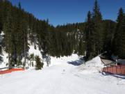 Very easy slope Ski road №2