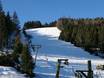 Ski resorts for advanced skiers and freeriding Regen – Advanced skiers, freeriders Geißkopf – Bischofsmais