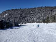 Kurvenlift run