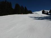 Easy slope at the Spycher drag lift