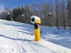 Snow reliability Eastern Bavaria (Ostbayern) – Snow reliability Mitterdorf – Almberg