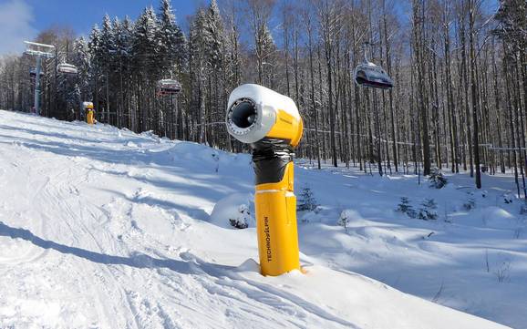 Snow reliability Almberg-Haidel-Dreisessel – Snow reliability Mitterdorf – Almberg