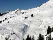 Slopes 7 and 8