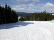 Family slope