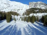 Wurzeralm Trail