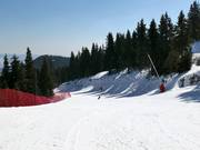 Slope 11 Kartola