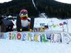 Family ski resorts Achensee – Families and children Karwendel Bergbahn (Zwölferkopf) – Pertisau