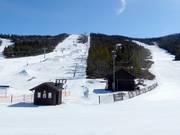 View of the Nesfjellet ski area