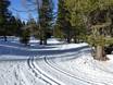Cross-country skiing Murtal – Cross-country skiing Kreischberg
