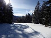 Easy slope Jocher