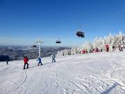 Panorama in the Mitterdorf ski area - Your Almberg experience
