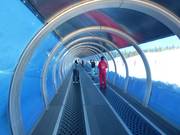 Modern conveyor belts transport beginners to the top