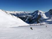 Easy Olympic Downhill Ladies