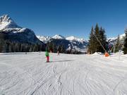 Start of the valley run (No. 1) on the Ehrwalder Alm
