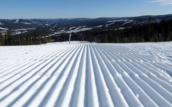 Slope preparation Hedmark – Slope preparation Trysil