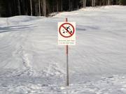 Closure of forest areas